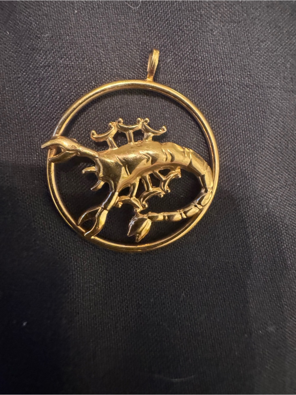 Gold Lizard Circle Pendant for Reptile Habitat Accessories - Gold
